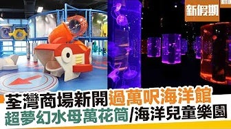 荃灣開全港首個海洋探索體驗館！過萬呎浩海立方探游館＋夢幻水母館＋海洋兒童樂園｜新假期【香港好去處】